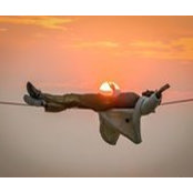 Barbara Molteni's photo