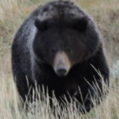 Randy Jones's photo