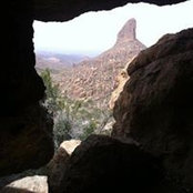 Terance Johnson's photo
