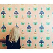 Amanda Claire's photo