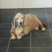 Lisa Burneys foto