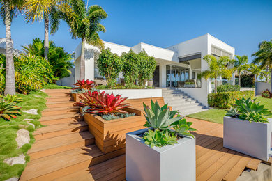 Design ideas for a mid-sized modern backyard garden in Sunshine Coast.
