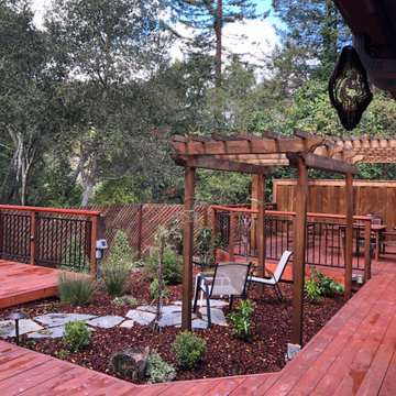 Orinda Oak Forest Landscape and Lighting