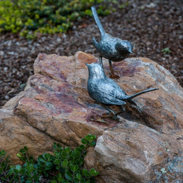 Water Wise Garden