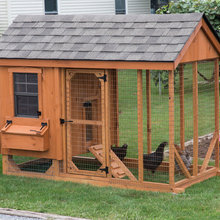 Food Producing Backyard Ideas