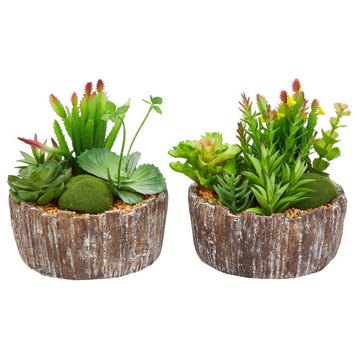 Set of 2 Faux Succulents Assorted 8" Greenery Arrangements in Concrete Planters