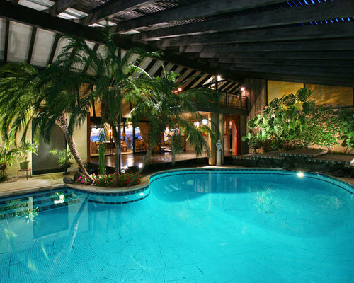 Tropical Plants At Pool | Houzz