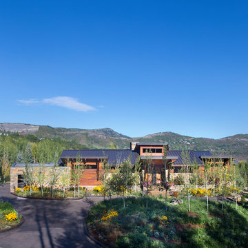 Z House 2