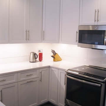 Contemporay White Reface Kitchen