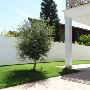 Parte izquierda delantera jardín con olivo