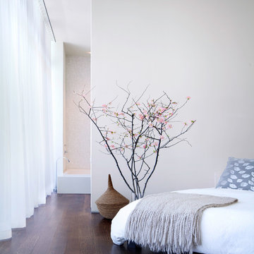 A House in the Woods