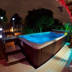 Endless Pool&reg; Swim Spa Series - Lifestyle And Leisure