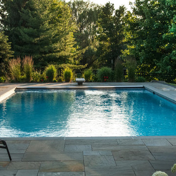 Burr Ridge, IL Swimming Pool With Sunshelf, Diving Board
