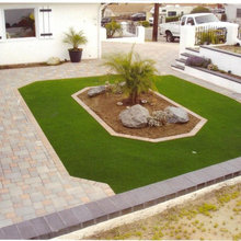 anh-chi's backyard