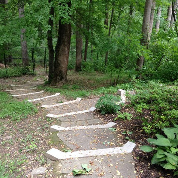 Complete Landscape Transformation