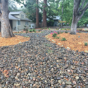 Front Yard Remodel