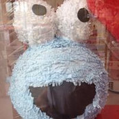 Kate Cook's photo