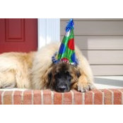 Celeste Niday's photo