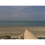 Kelly Carnegie's photo