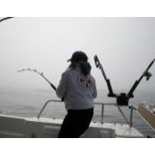 Michelle Erickson's photo