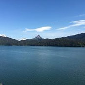Gretchen Bagley's photo