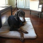Matthew Crutchfield's photo