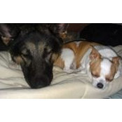 Jill Shea's photo