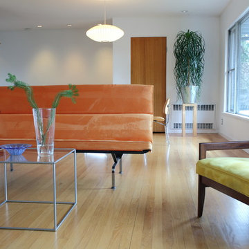 My Houzz: Color and Light in a Midcentury Ranch