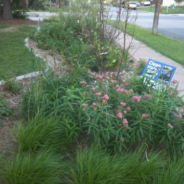 Green Infrastructure Project