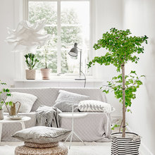 déco