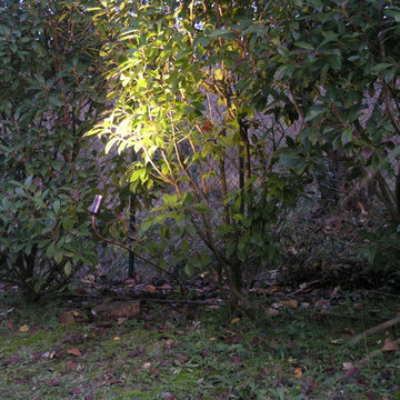 GIARDINO PRIVATO B.F.