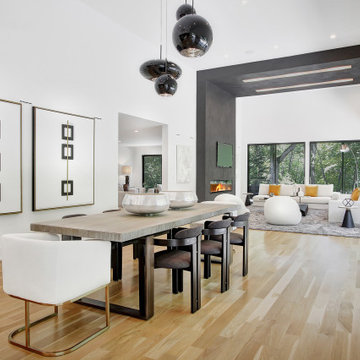 ECSTATIC - Modern New Construction in Greenwich