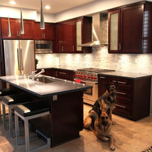 Range hood