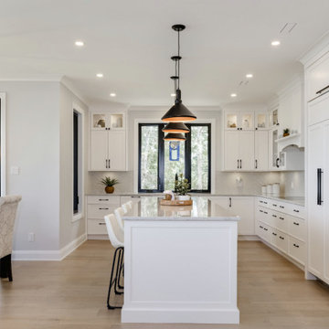 Armitage Avenue Custom Home - Kitchen