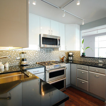 Sleek, Modern Kitchen Remodel in East Side Condo