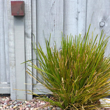 Beachside Curb Appeal