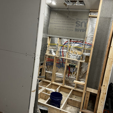 Basement Remodel