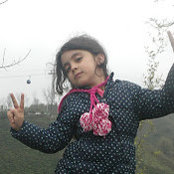 Photo de Mojtaba Shafiei