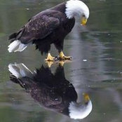 Robert DeMerritt's photo