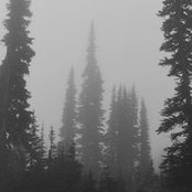 Kristen Krause's photo