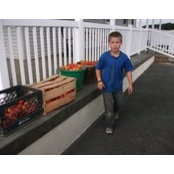Ann Marie Gregorio Mazza's photo