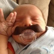 Dustin Schaaf's photo