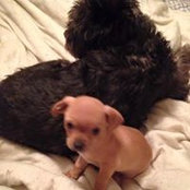 Tari Williams's photo