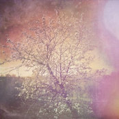 Foto von Лена Антипова