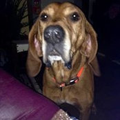 Deborah Wixson's photo