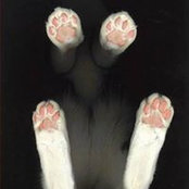 Tracy Urbas Hill's photo