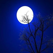 Salma Fourati's photo