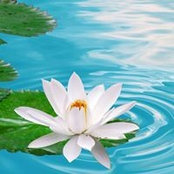 Cheryl Carter's photo