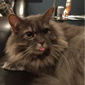Isabelle Anselmo's photo