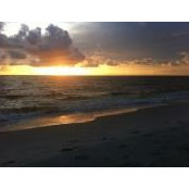 Chrissy Davis's photo